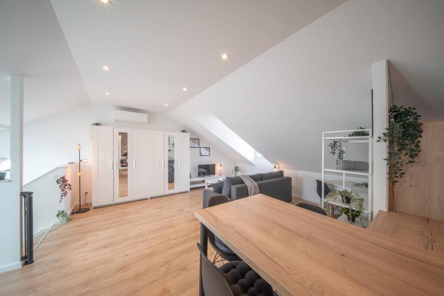 Superbe Appartement Climatise Parking Free Special Eurovision Mulhouse Bagian luar foto